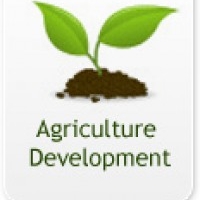 National Agro Foundation, NAF Research & Development Centre, NAF Centre for Rural Development, Kotturpuram, Chennai 