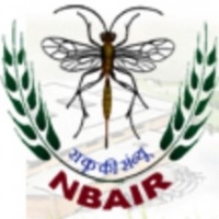 National Bureau of Agricultural Insect Resources, NBAIR, Bengaluru