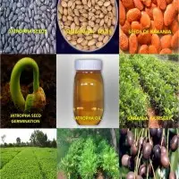 National Oilseeds and Vegetable Oils Development (NOVOD) Board
