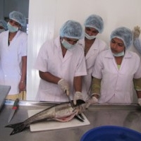 National Institute of Fisheries Post Harvest Technology and Training, NIFPHATT